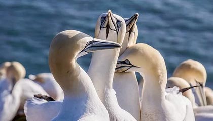 开云中国-中超BIG4仅恒大未拿首胜 卡纳瓦罗这次靠啥突围？